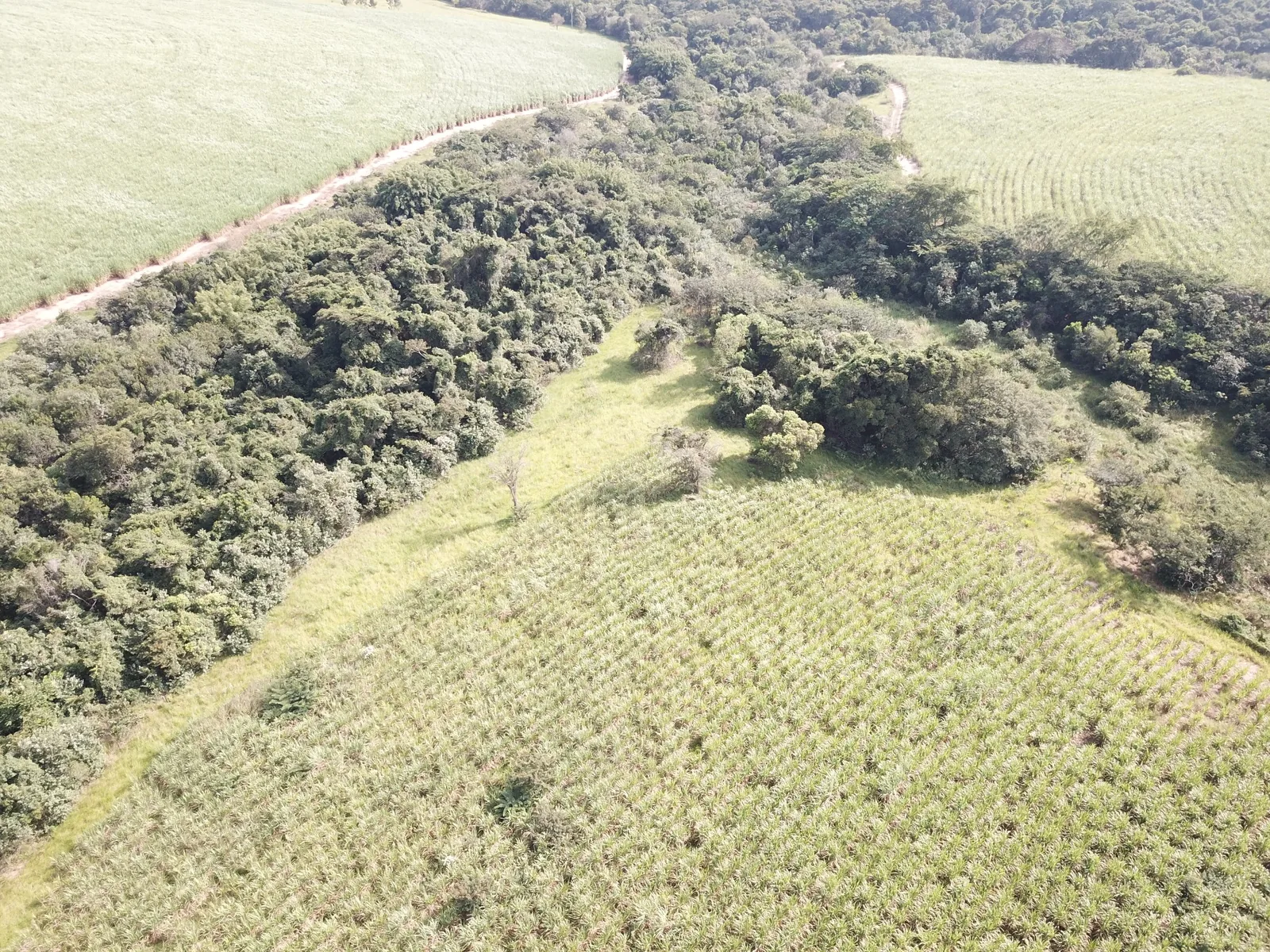Due diligence ambiental