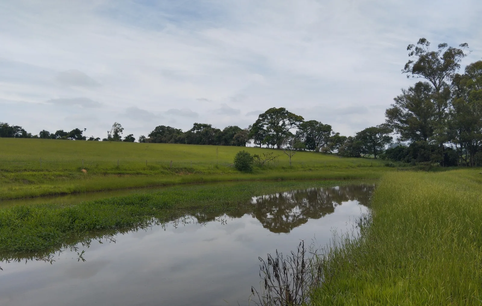 Registro da Ecoative de reservatório em propriedade rural