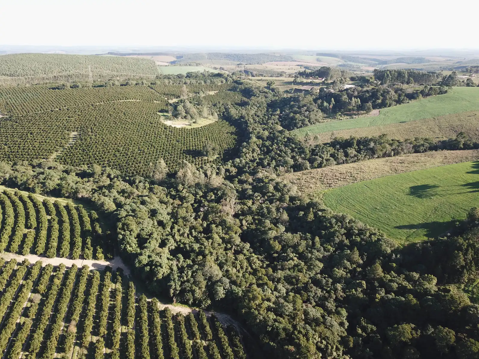 Registro técnico relacionado à avaliação ambiental do território